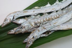 たち魚の煮干(無添加)